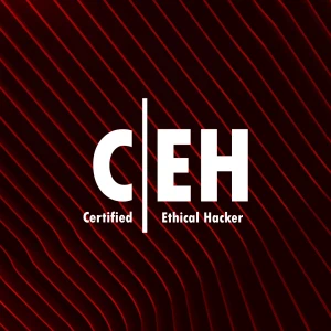 CEH, Certified Ethical Hacker